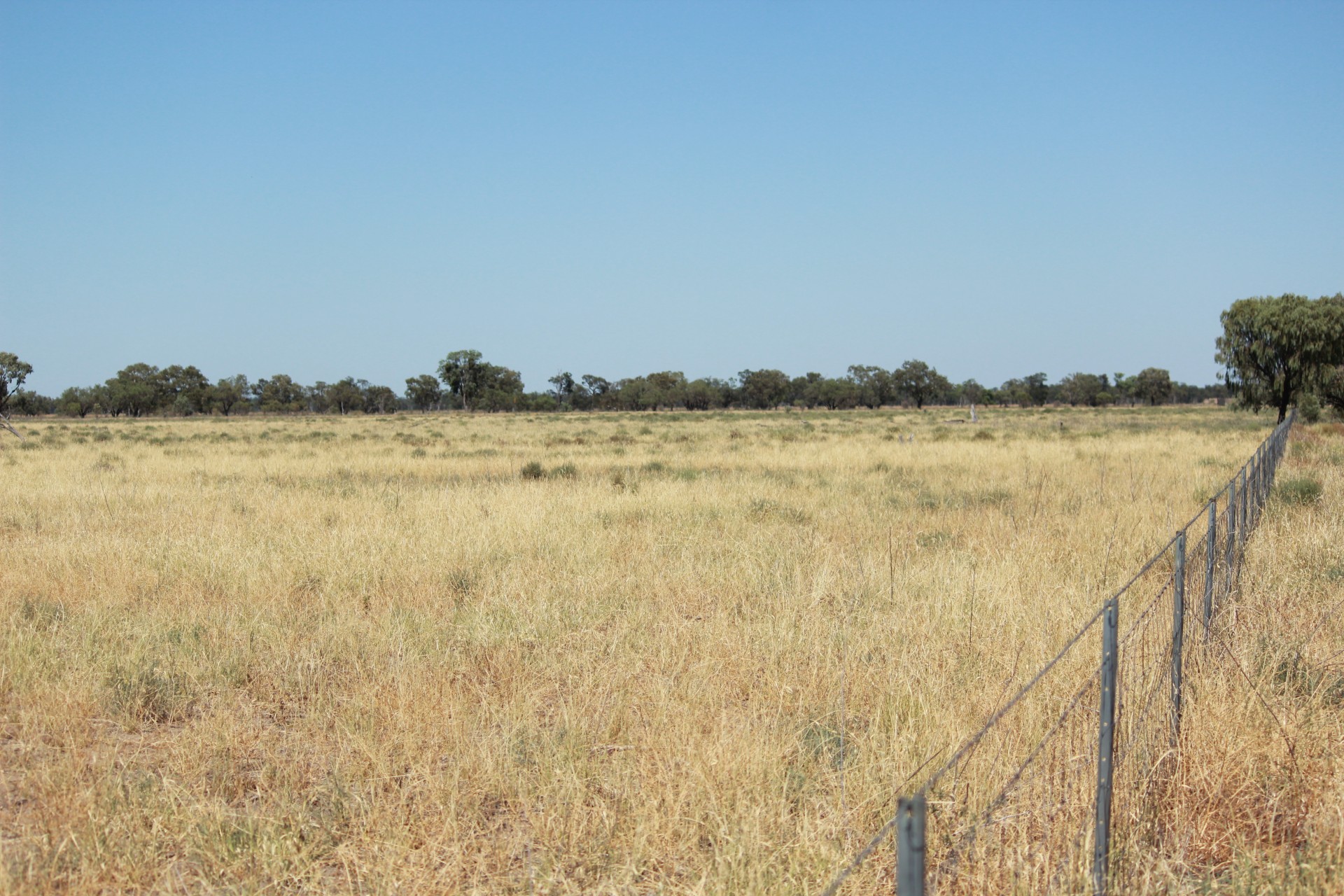 Coonamble real estate Sold