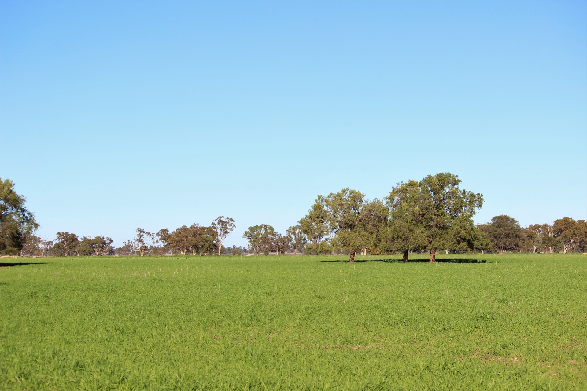 Open for inspection in Coonamble