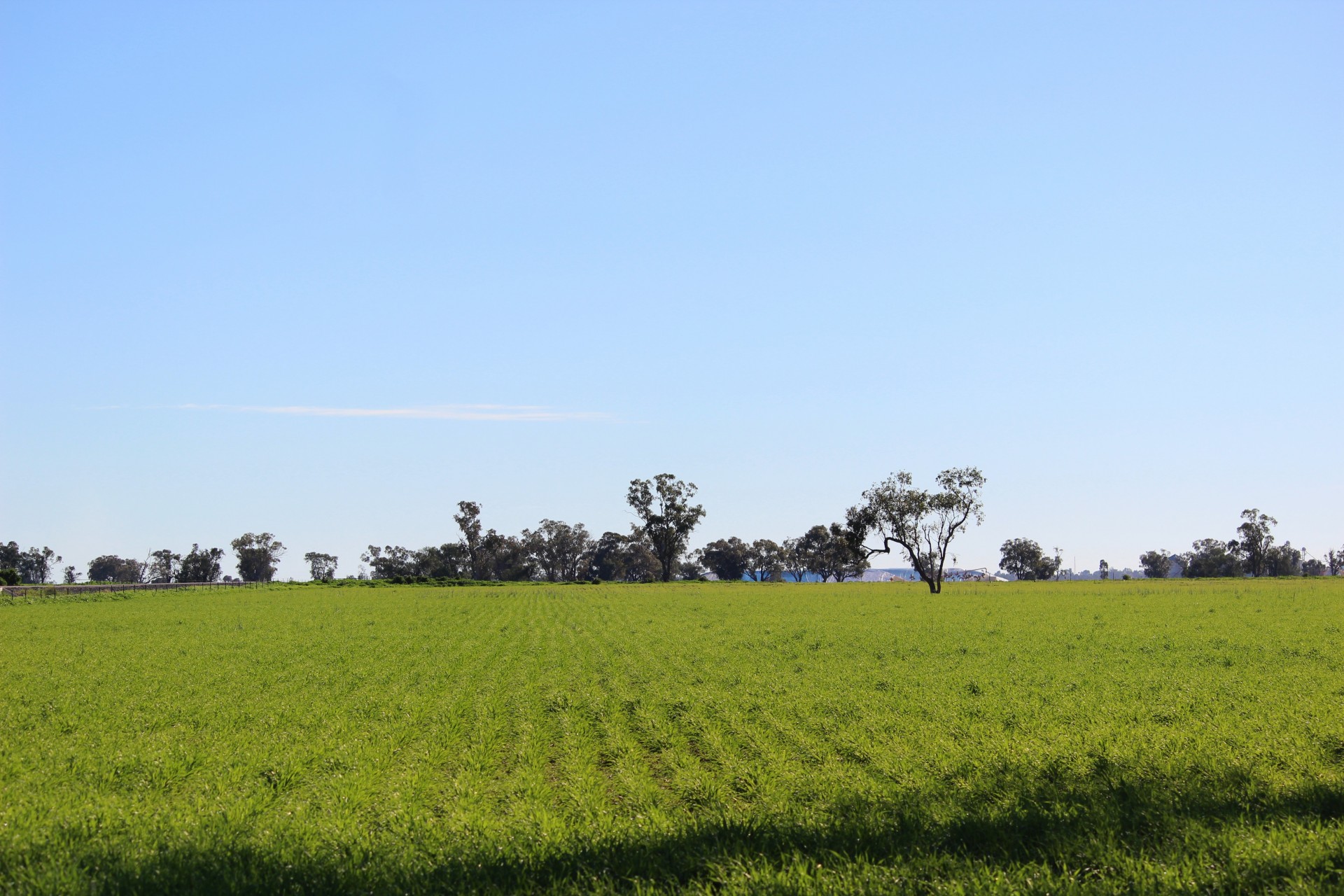 Real Estate in Coonamble