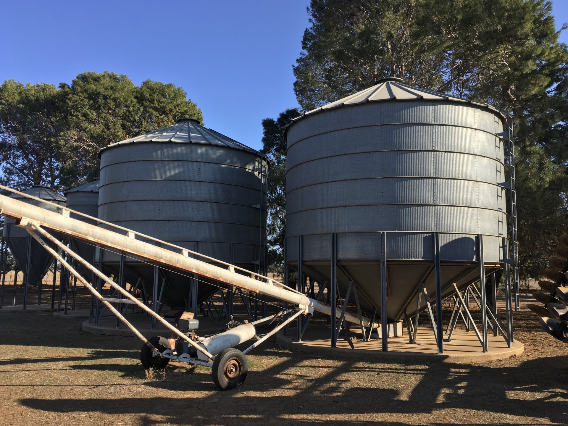 Real Estate in Coonamble