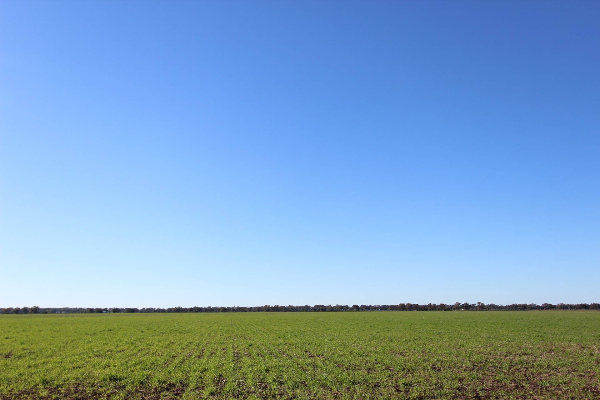 Coonamble Properties For Sale