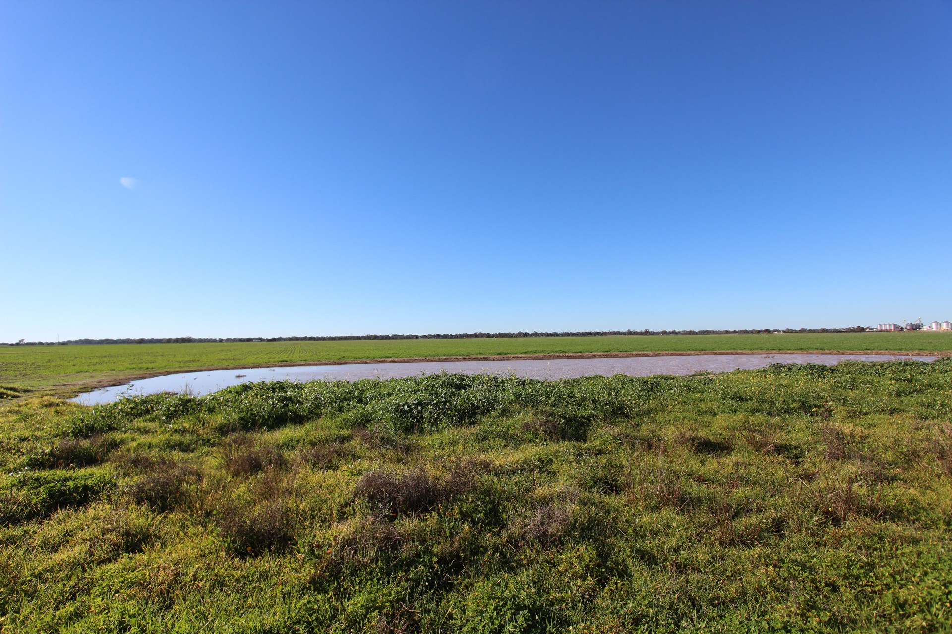 Coonamble real estate For Sale