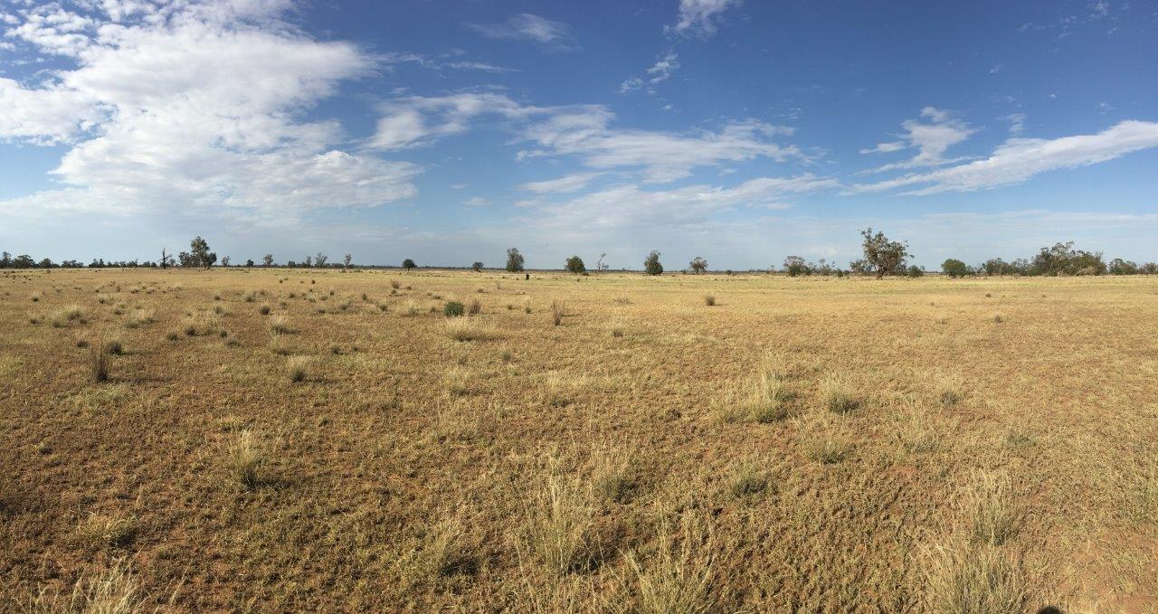 Real Estate in Coonamble