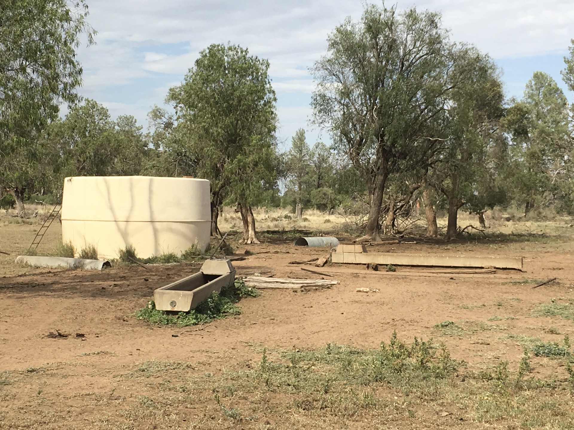 Real Estate in Coonamble