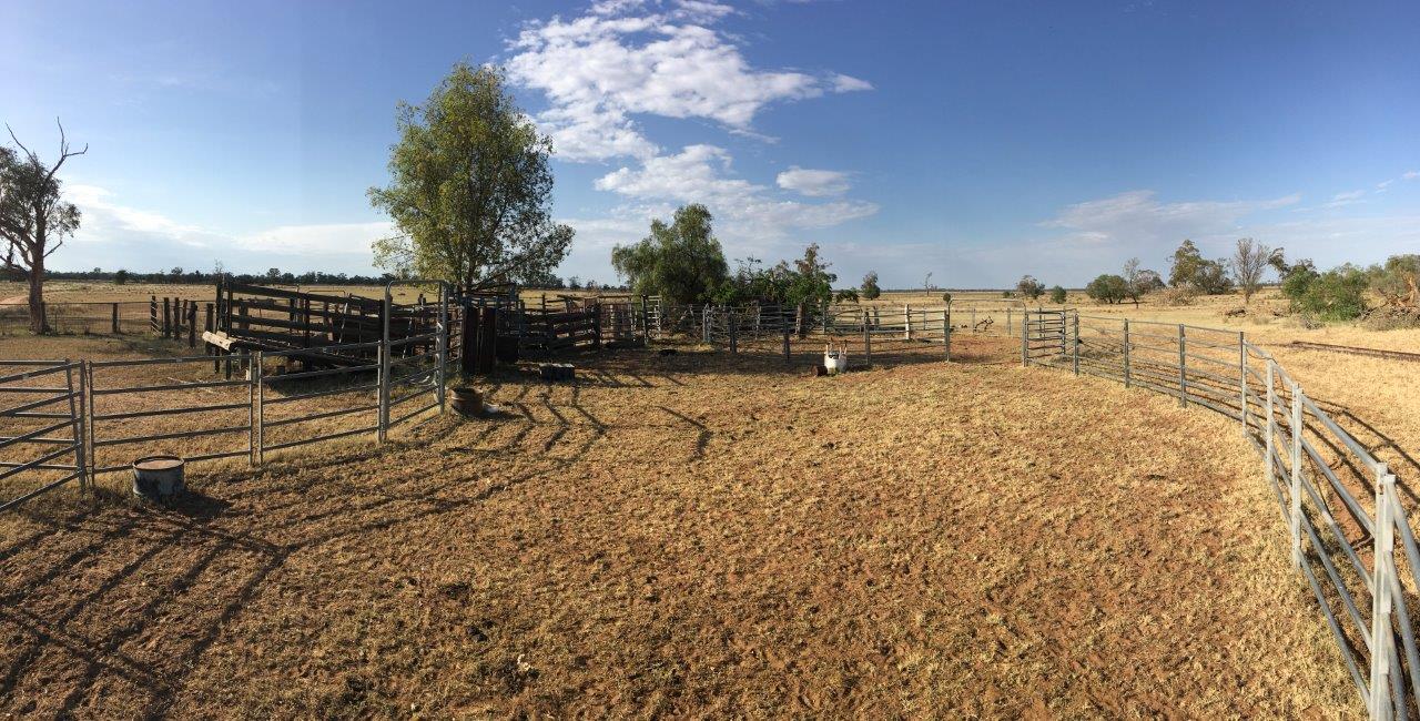 Selling your property in Coonamble