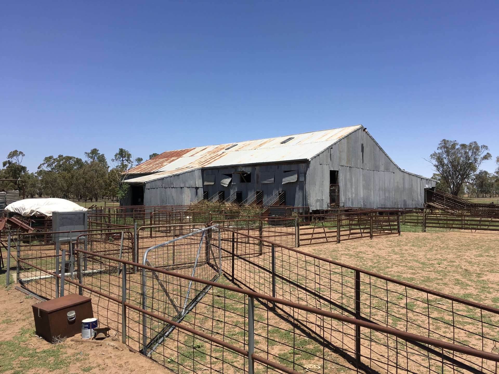 Real Estate in Coonamble