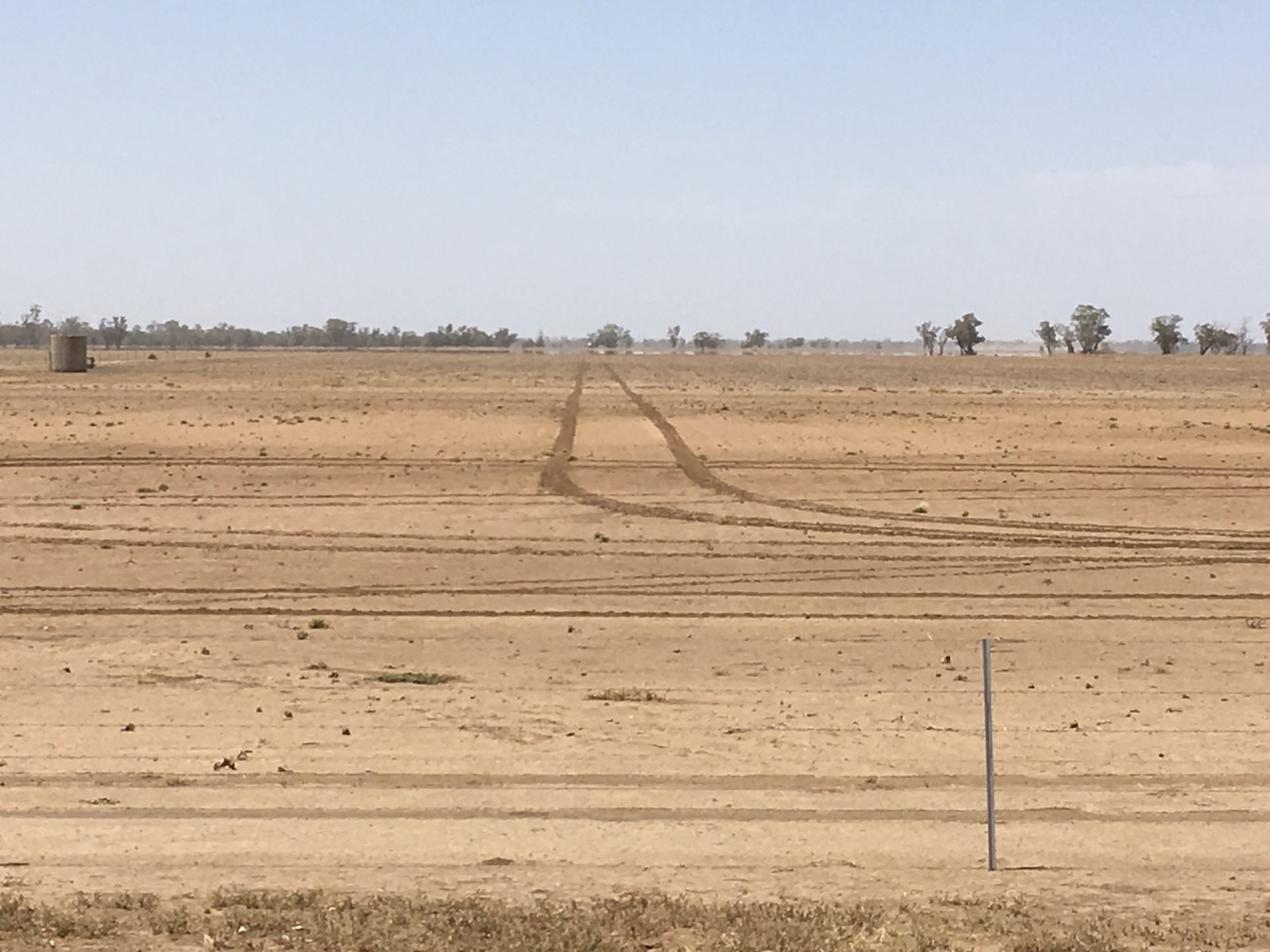 Real Estate in Coonamble