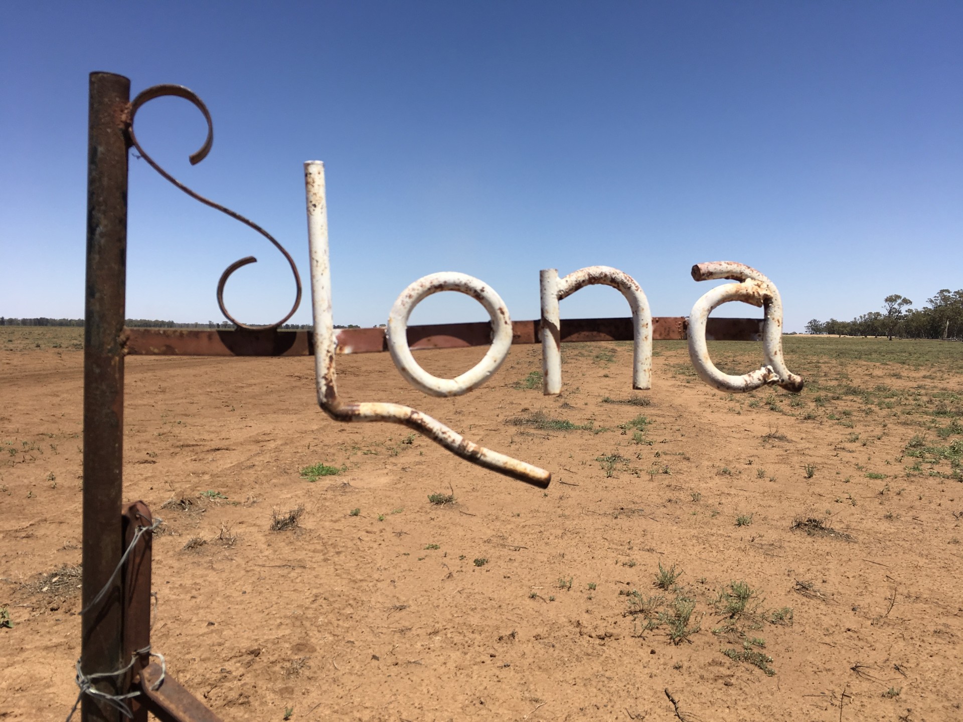 "LONA" 1312 Emby Road, Coonamble > A J F Brien & Sons