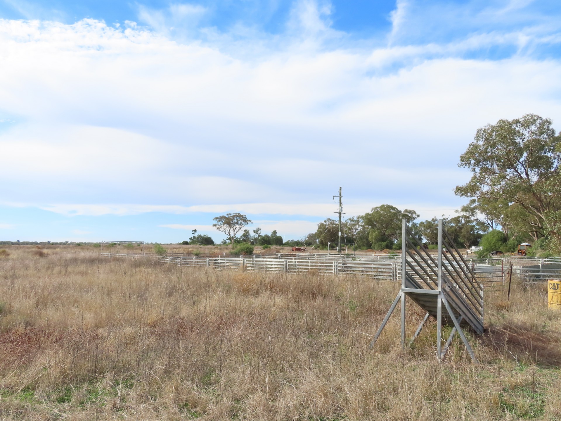 Real Estate in Coonamble