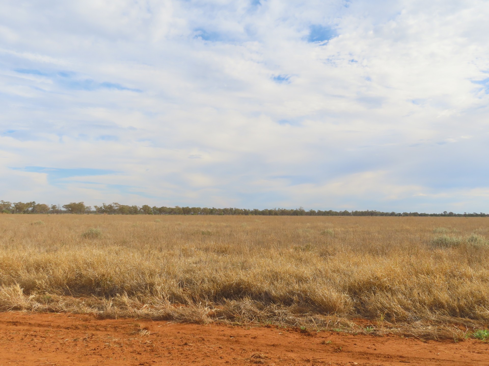 Selling your property in Coonamble