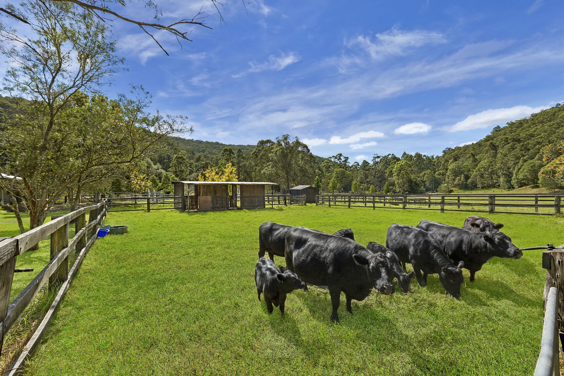 Yarramalong real estate Sold