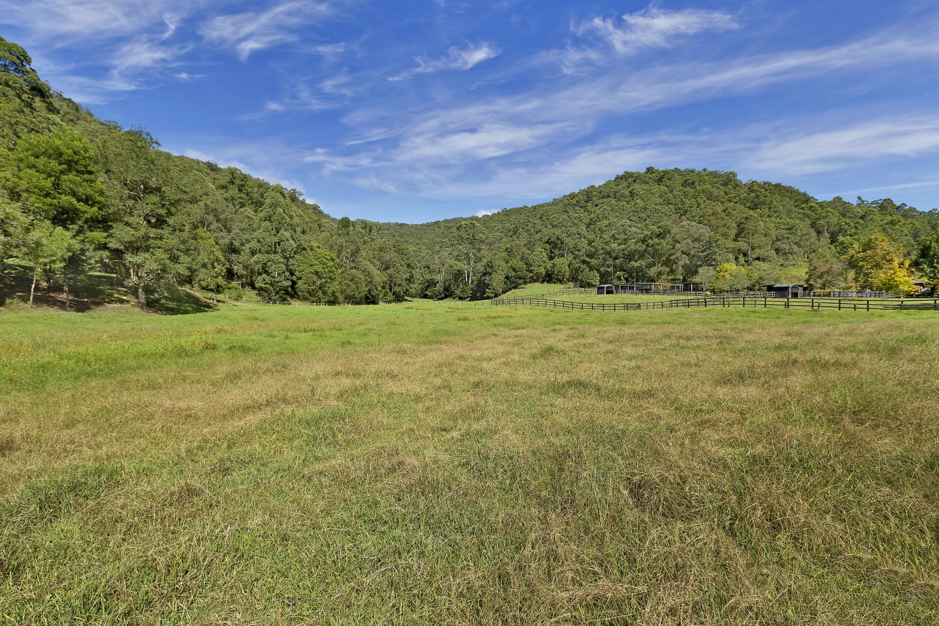 Real Estate in Yarramalong