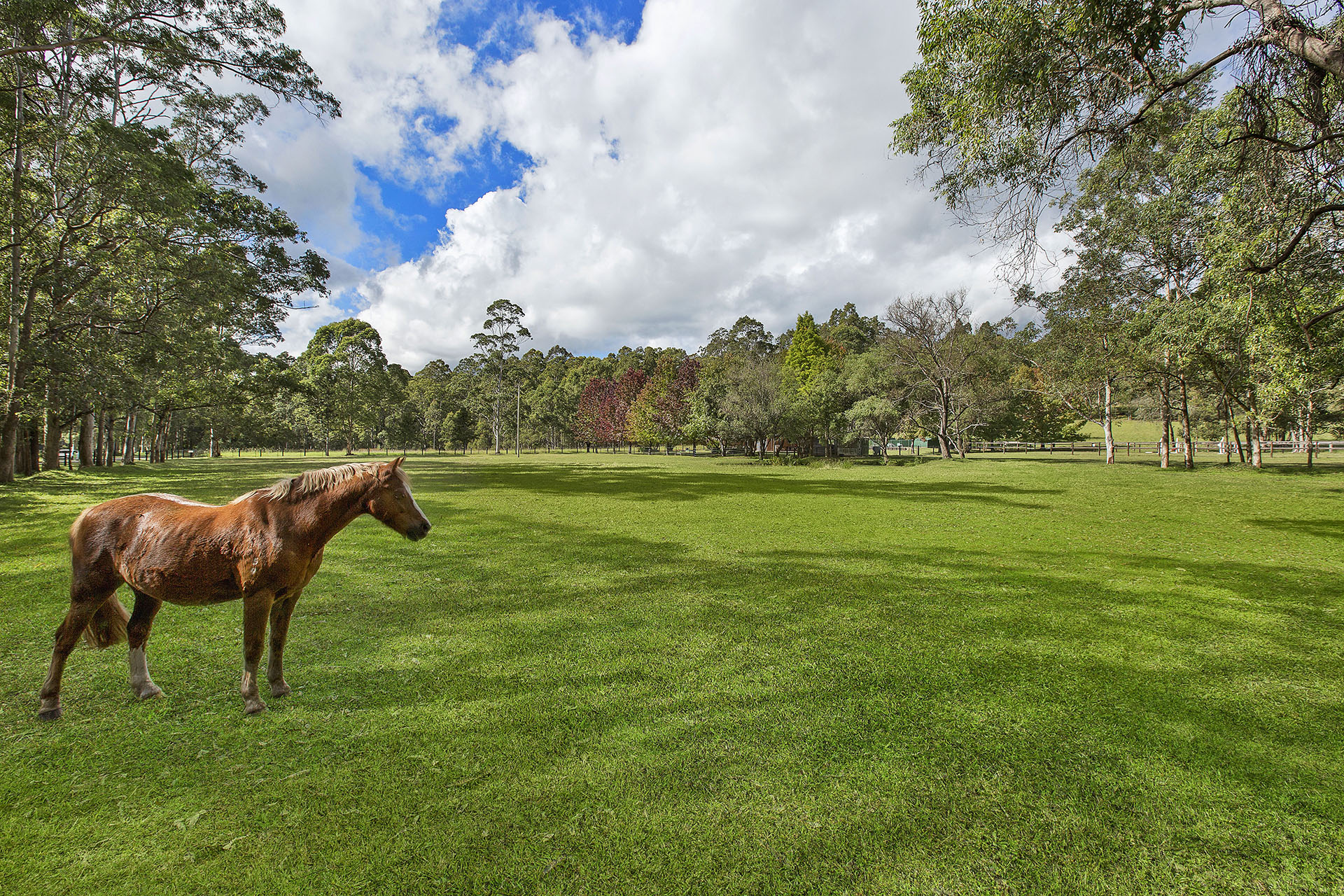 Real Estate in Dooralong