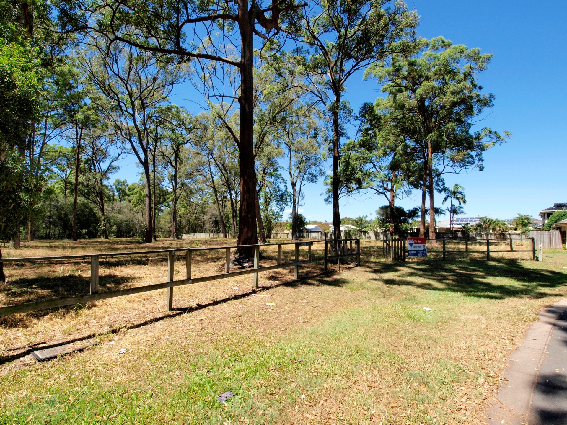 Real Estate in Sunnybank Hills