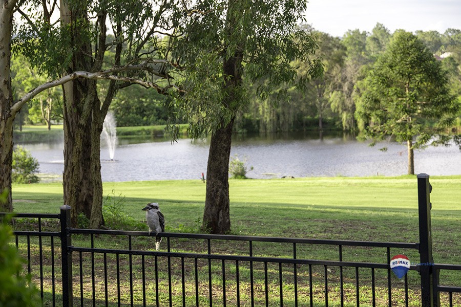 Real Estate in Middle Park