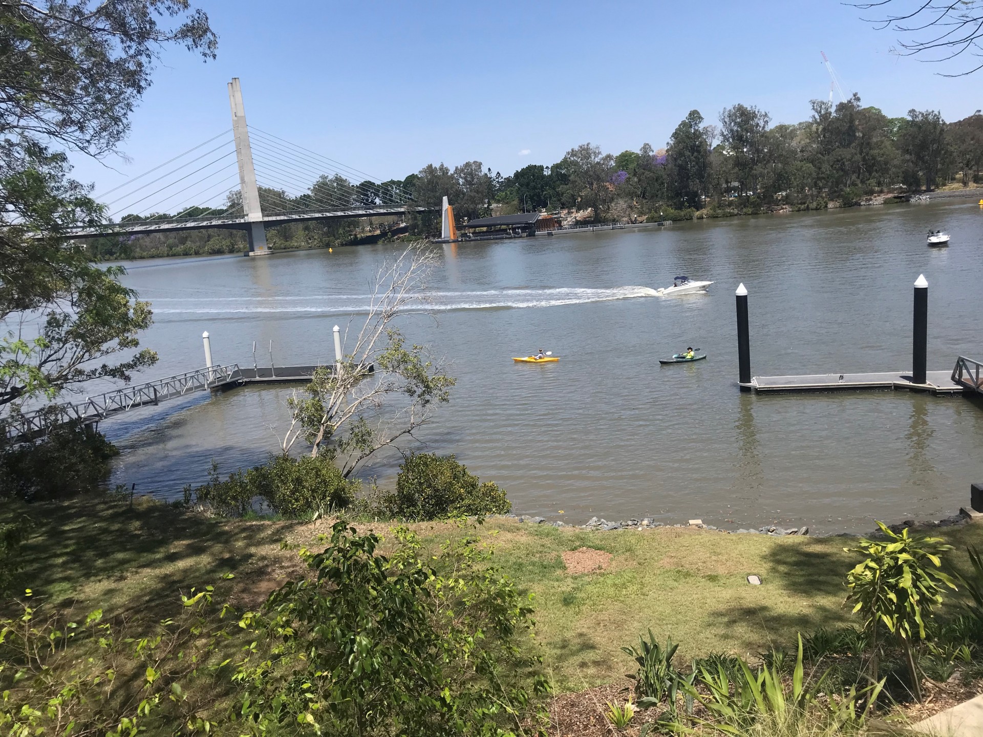 Real Estate in Dutton Park