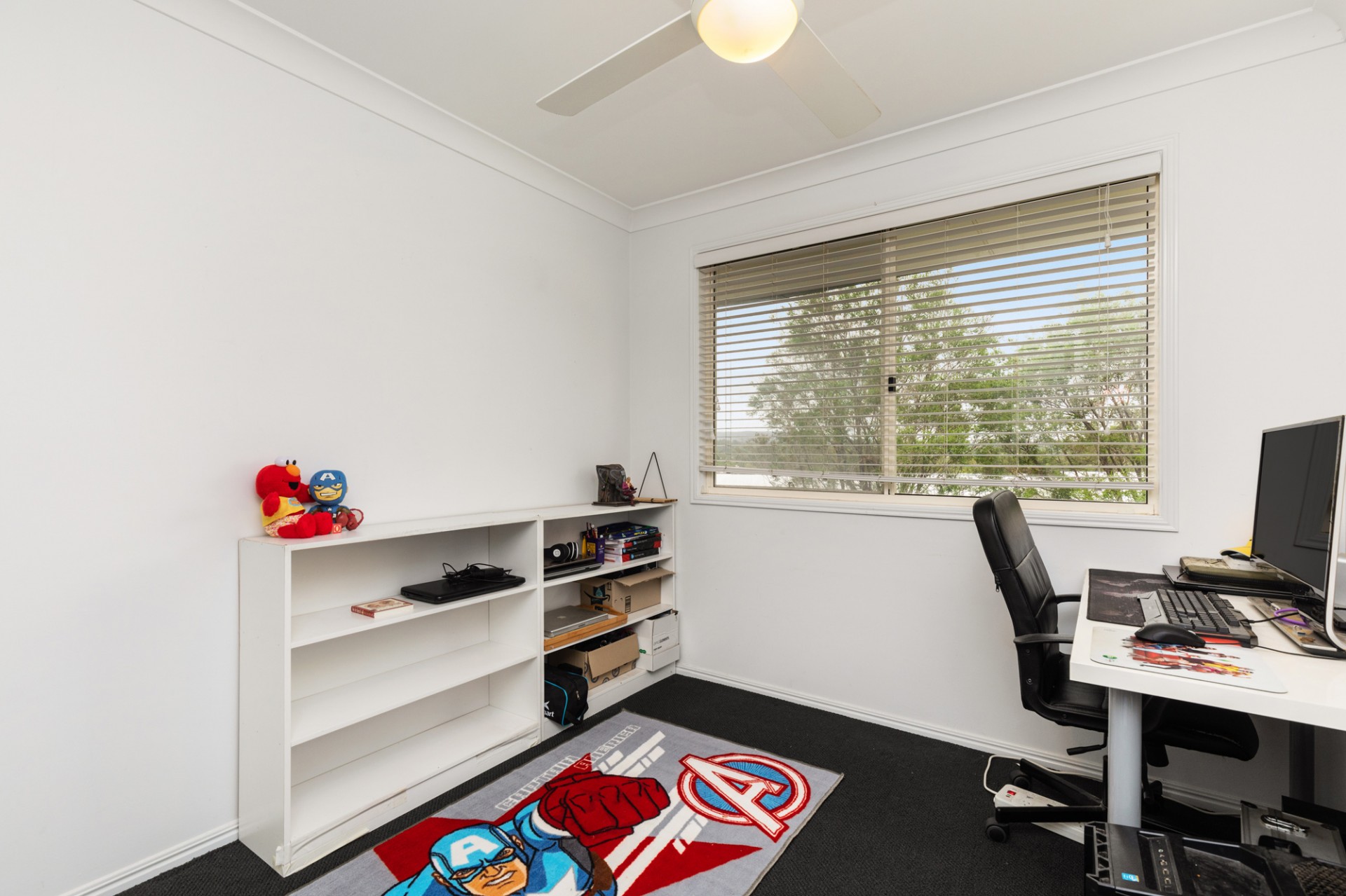 Real Estate in Mount Ommaney