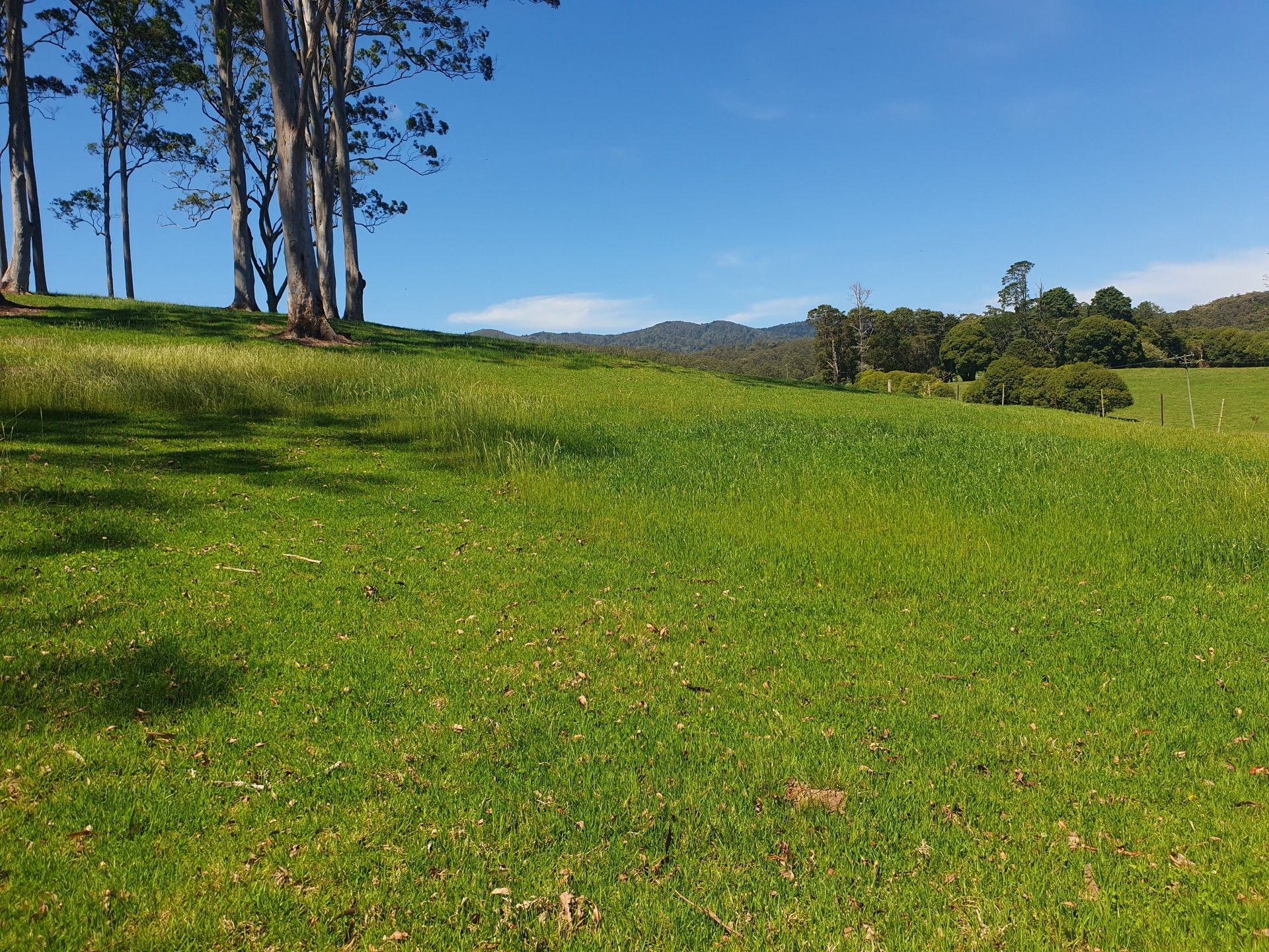 Coffs Harbour Properties Sold