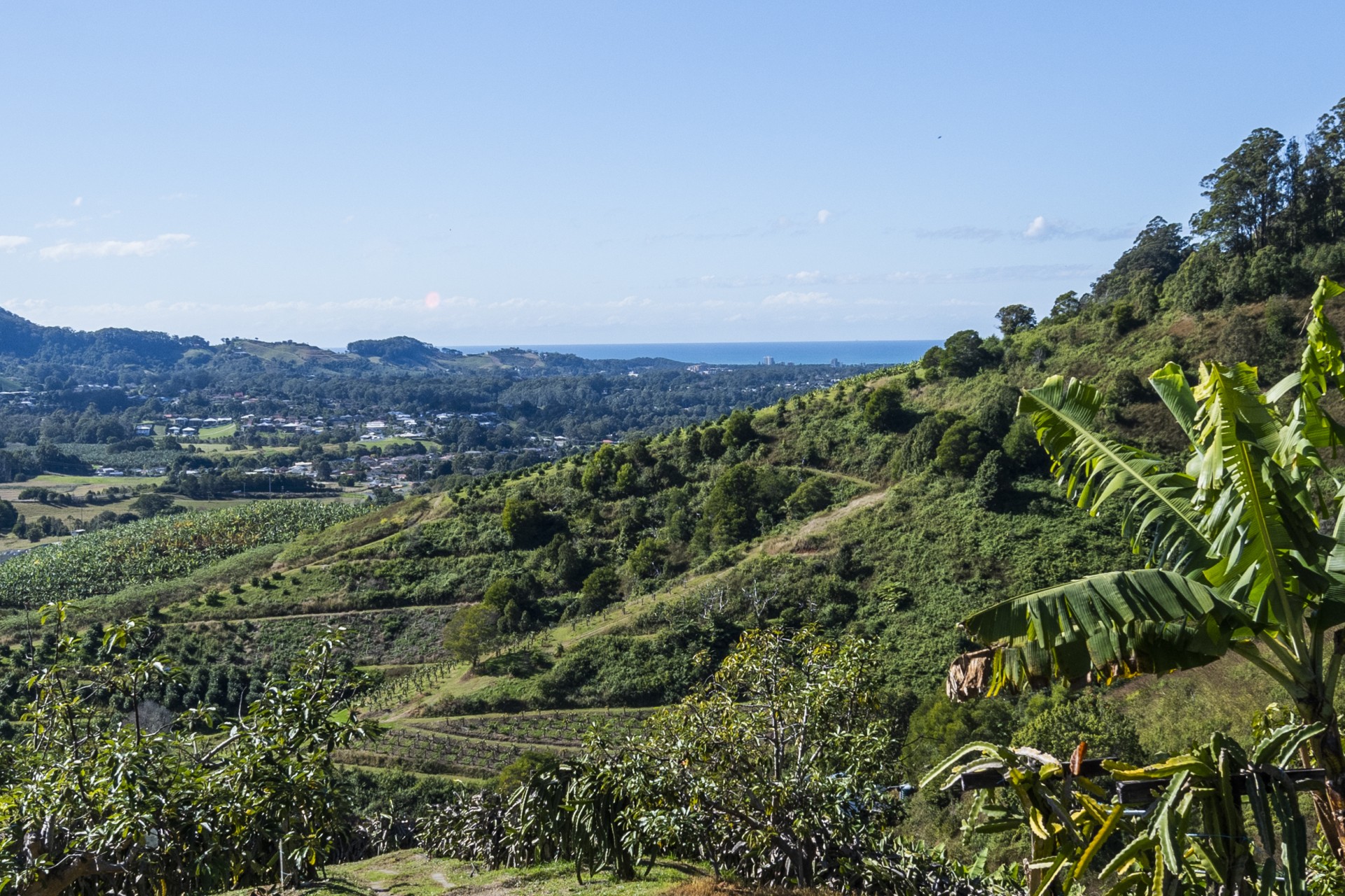 Property Sold in Coffs Harbour