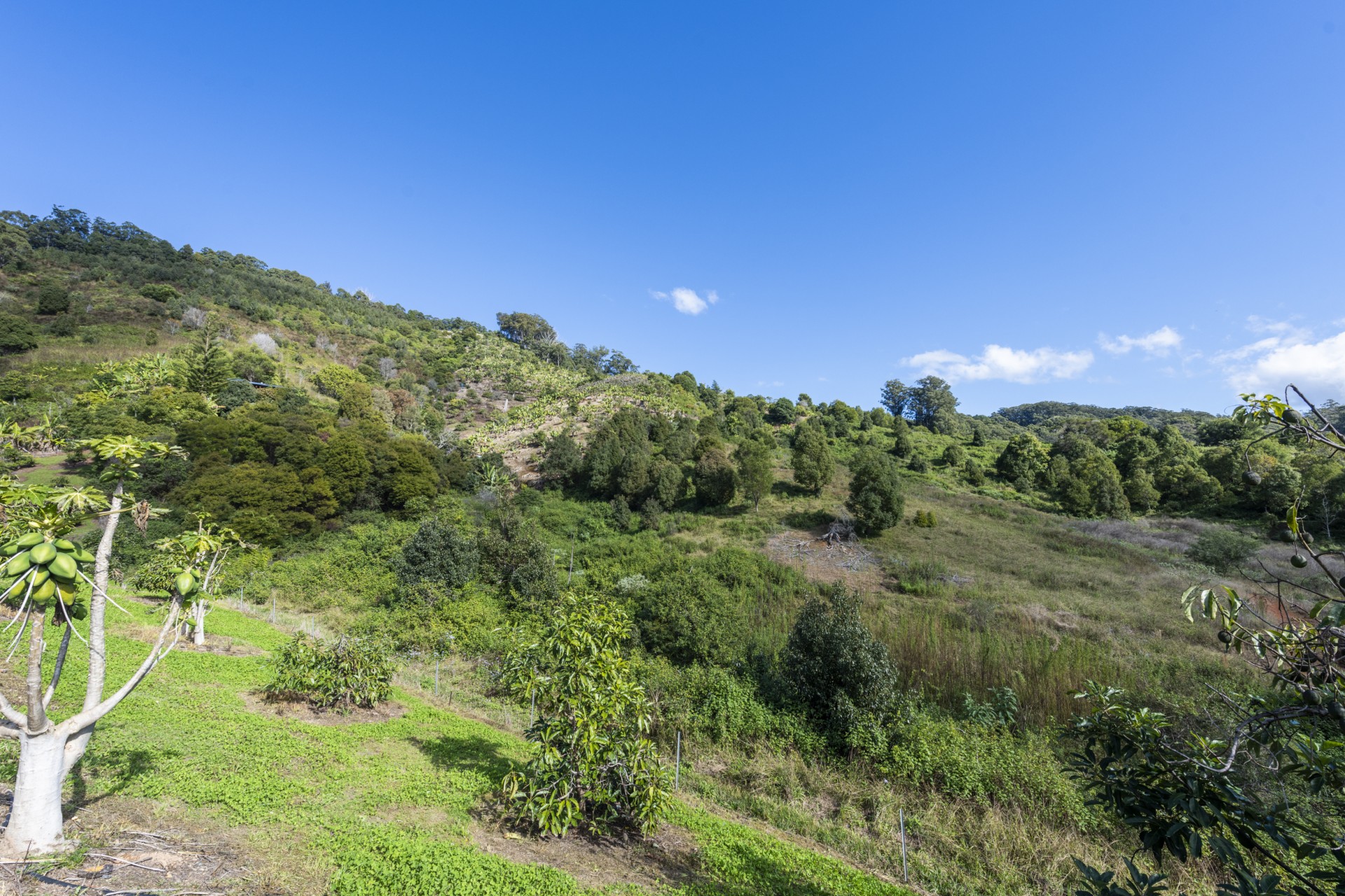 Open for inspection in Coffs Harbour