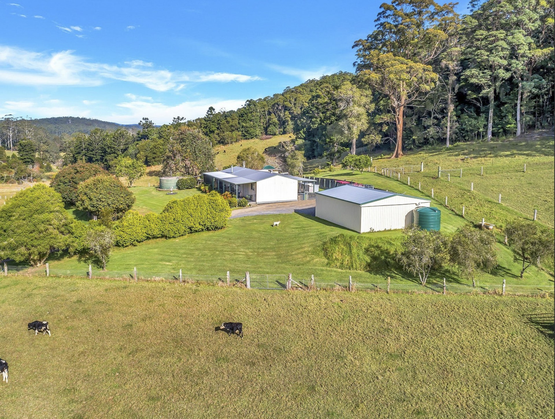 Real Estate in Coffs Harbour