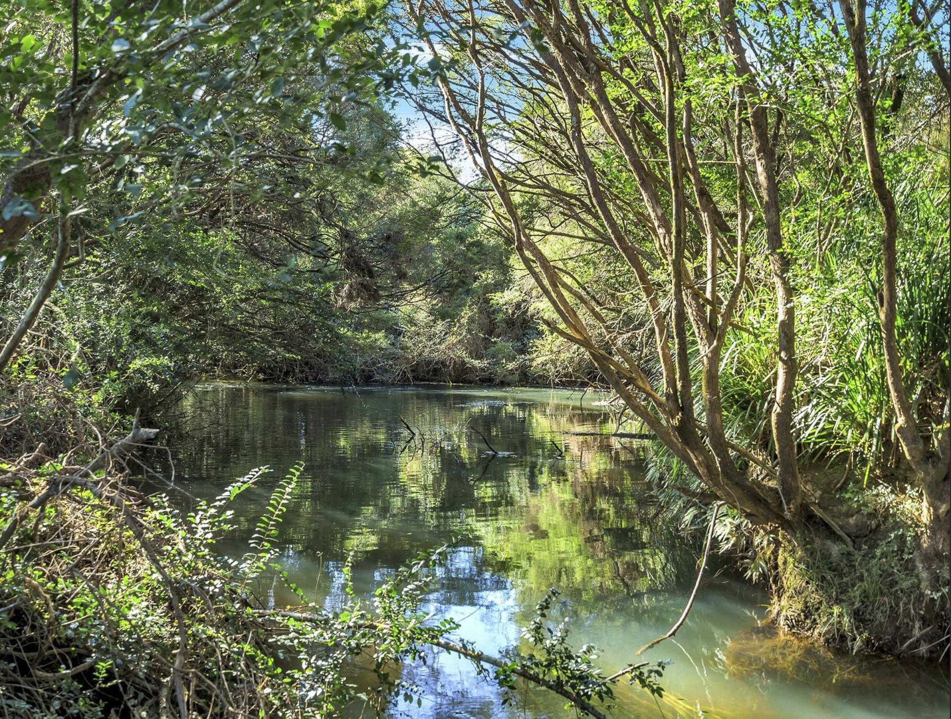 Open for inspection in Coffs Harbour