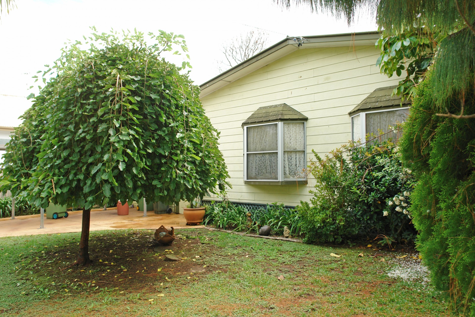 Wyong Properties Sold