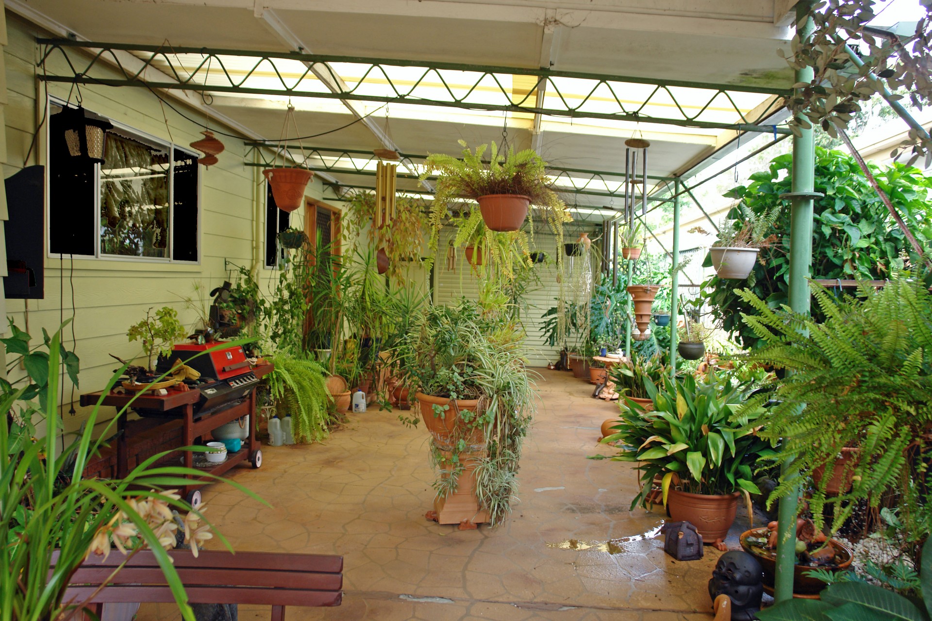 Real Estate in Wyong