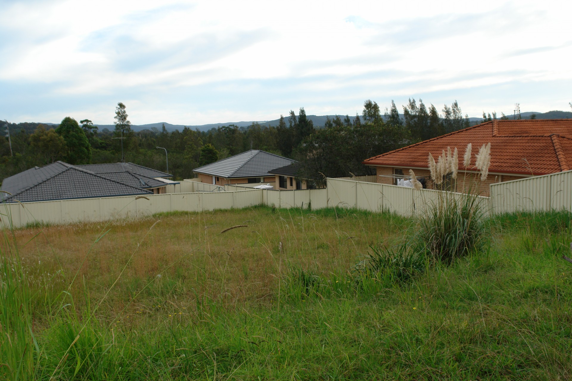 Real Estate in Watanobbi