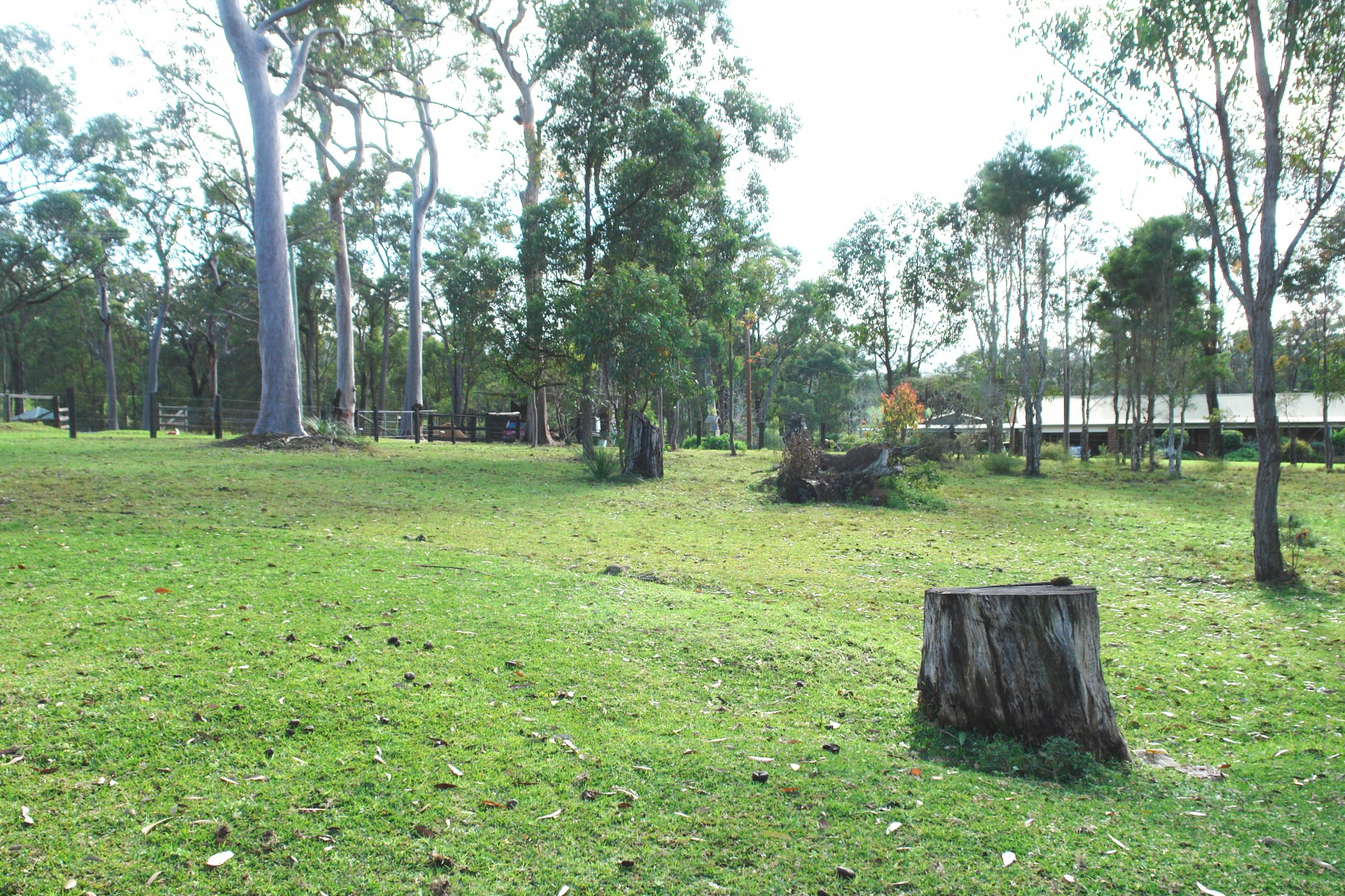 Real Estate in Jilliby