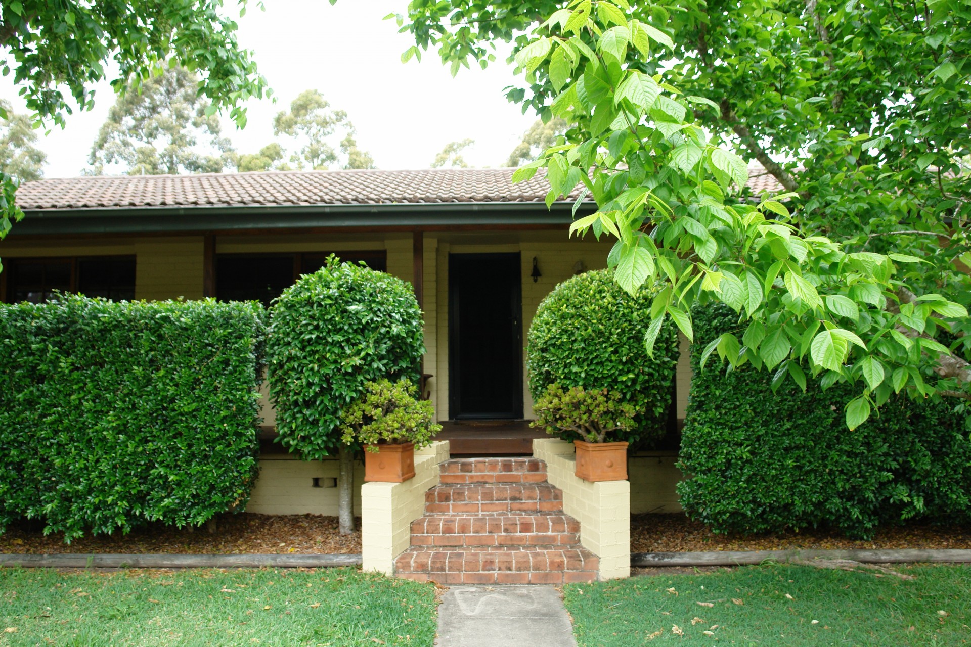 Property Sold in Wyong