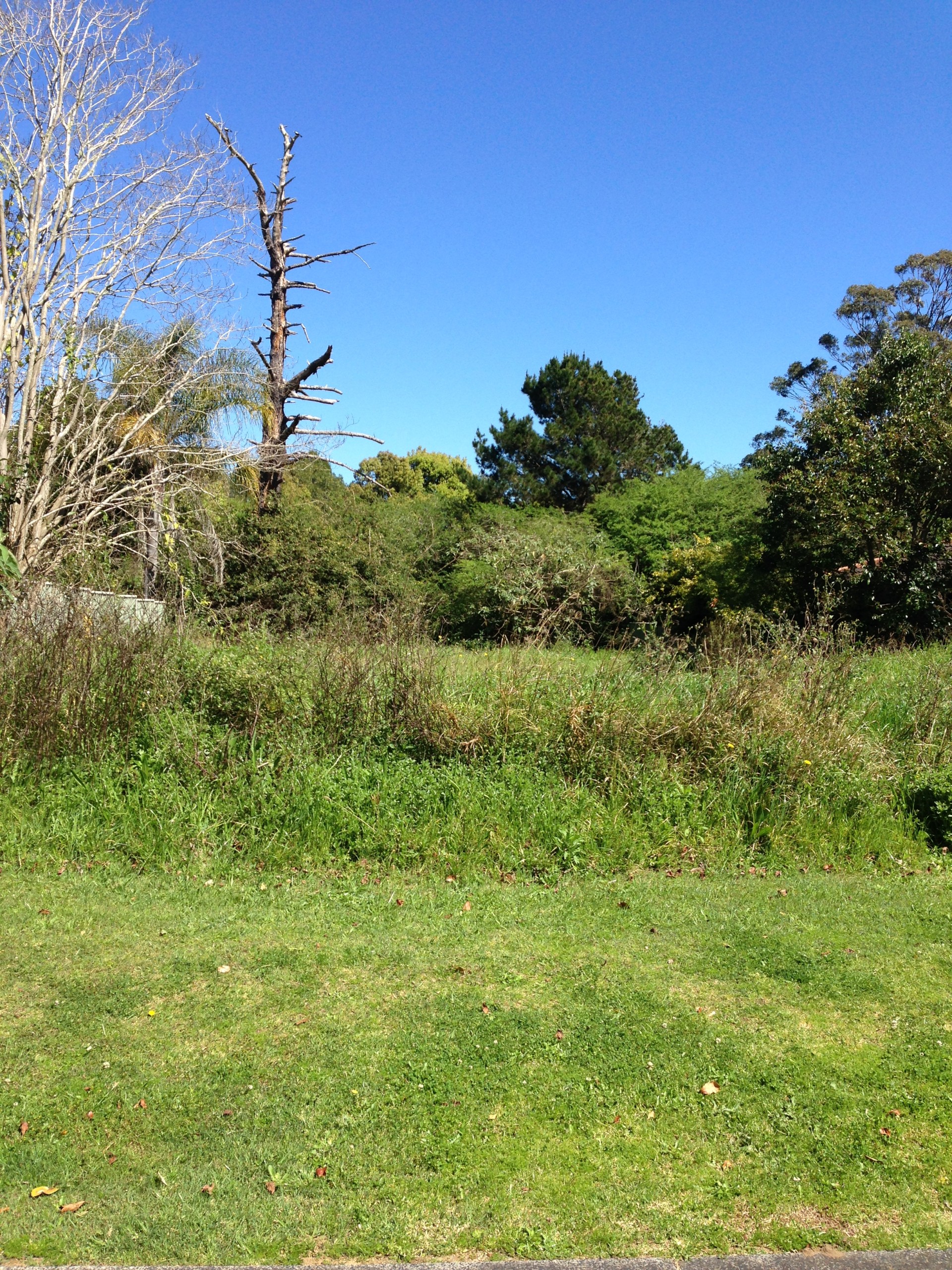 Open for inspection in Ourimbah