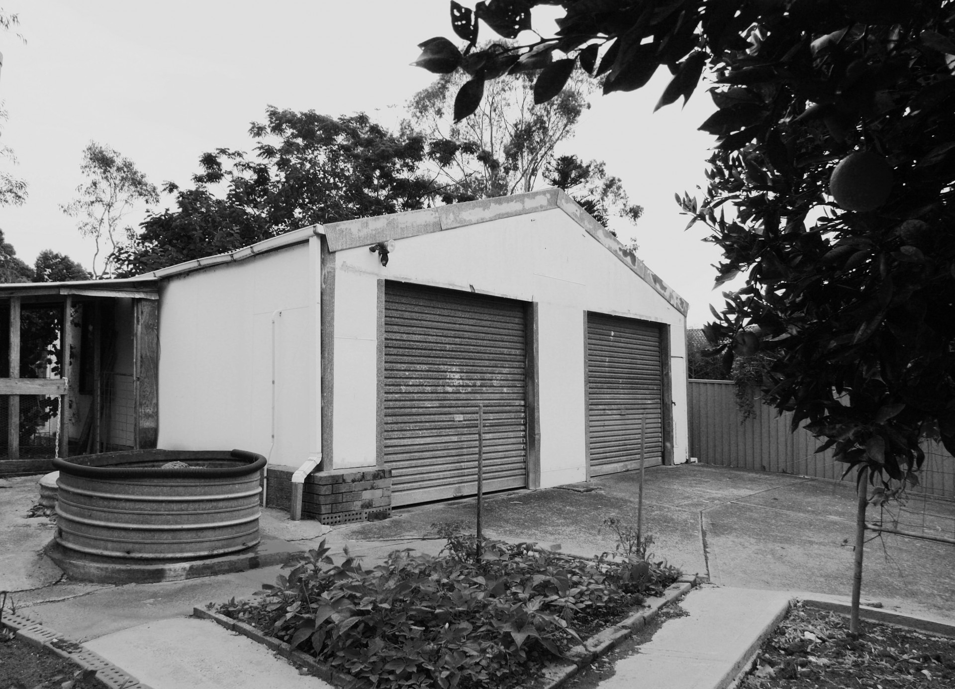 Wyong Properties Sold