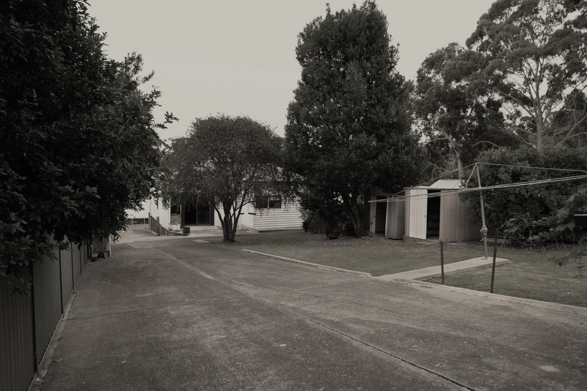 Real Estate in Wyong