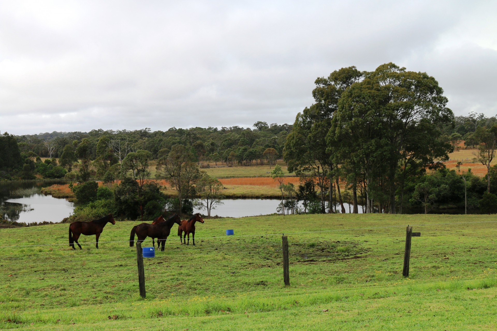 Wyee real estate Sold