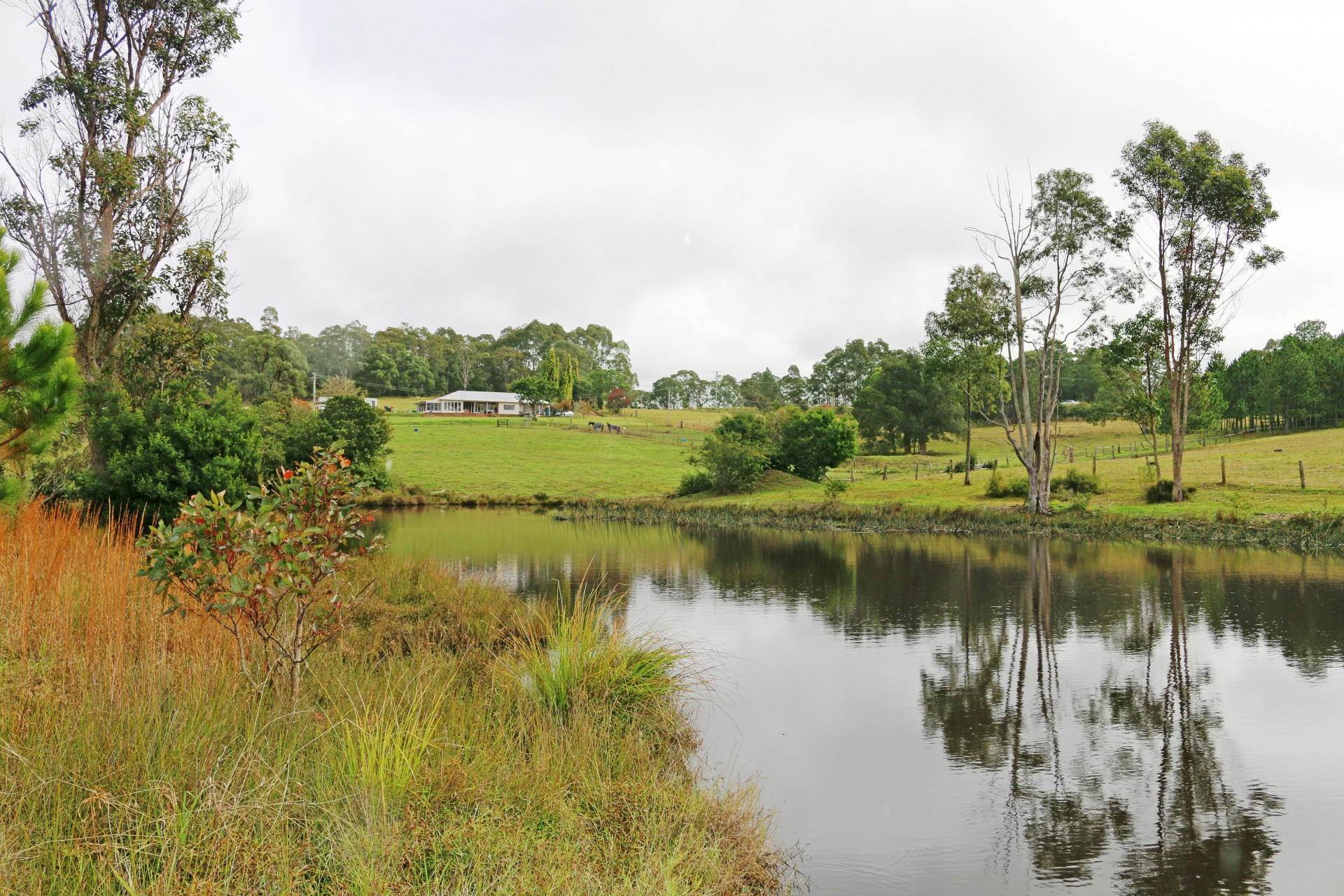 Selling your property in Wyee