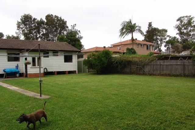 Backyard