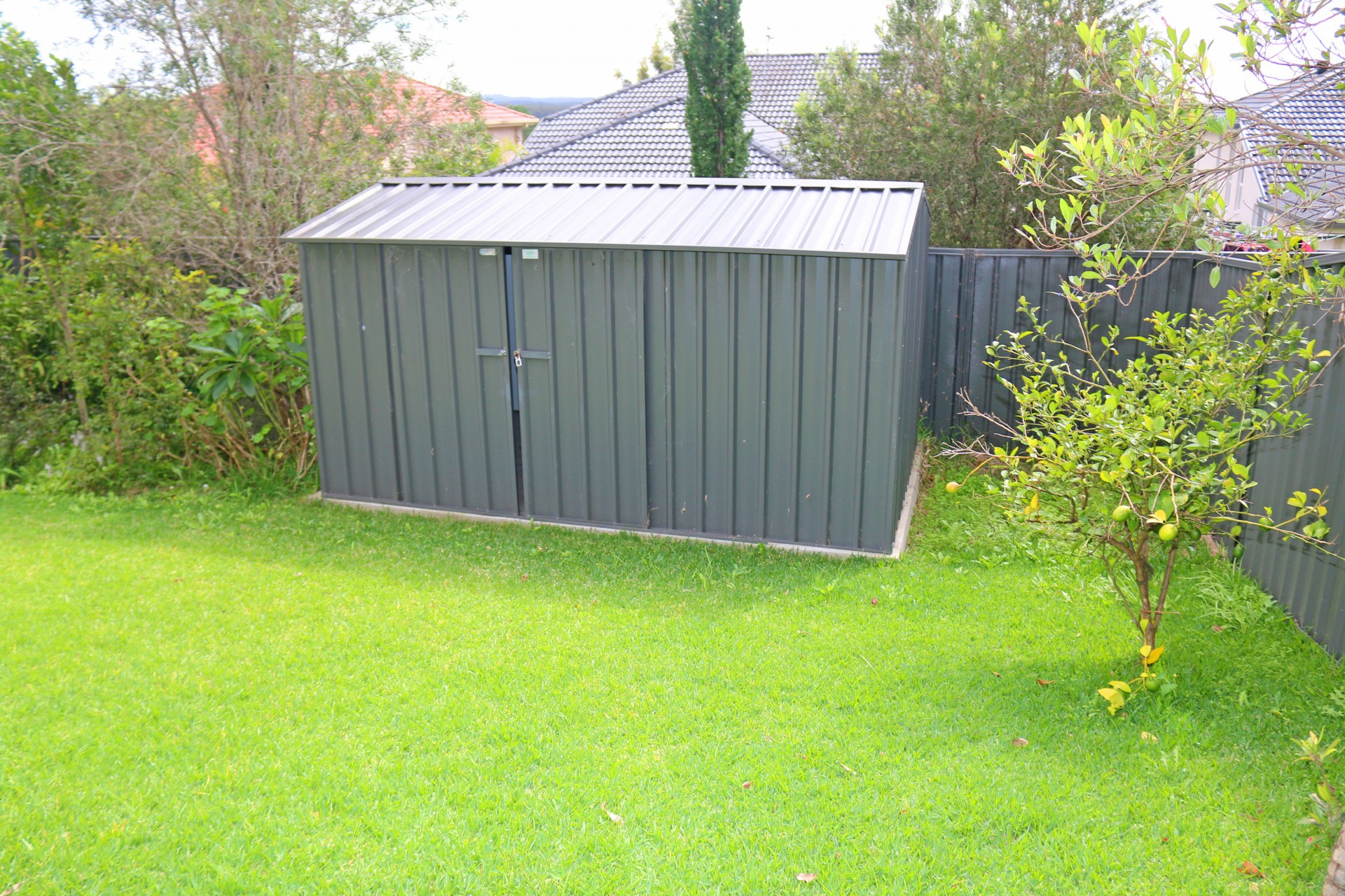 Real Estate in Wadalba