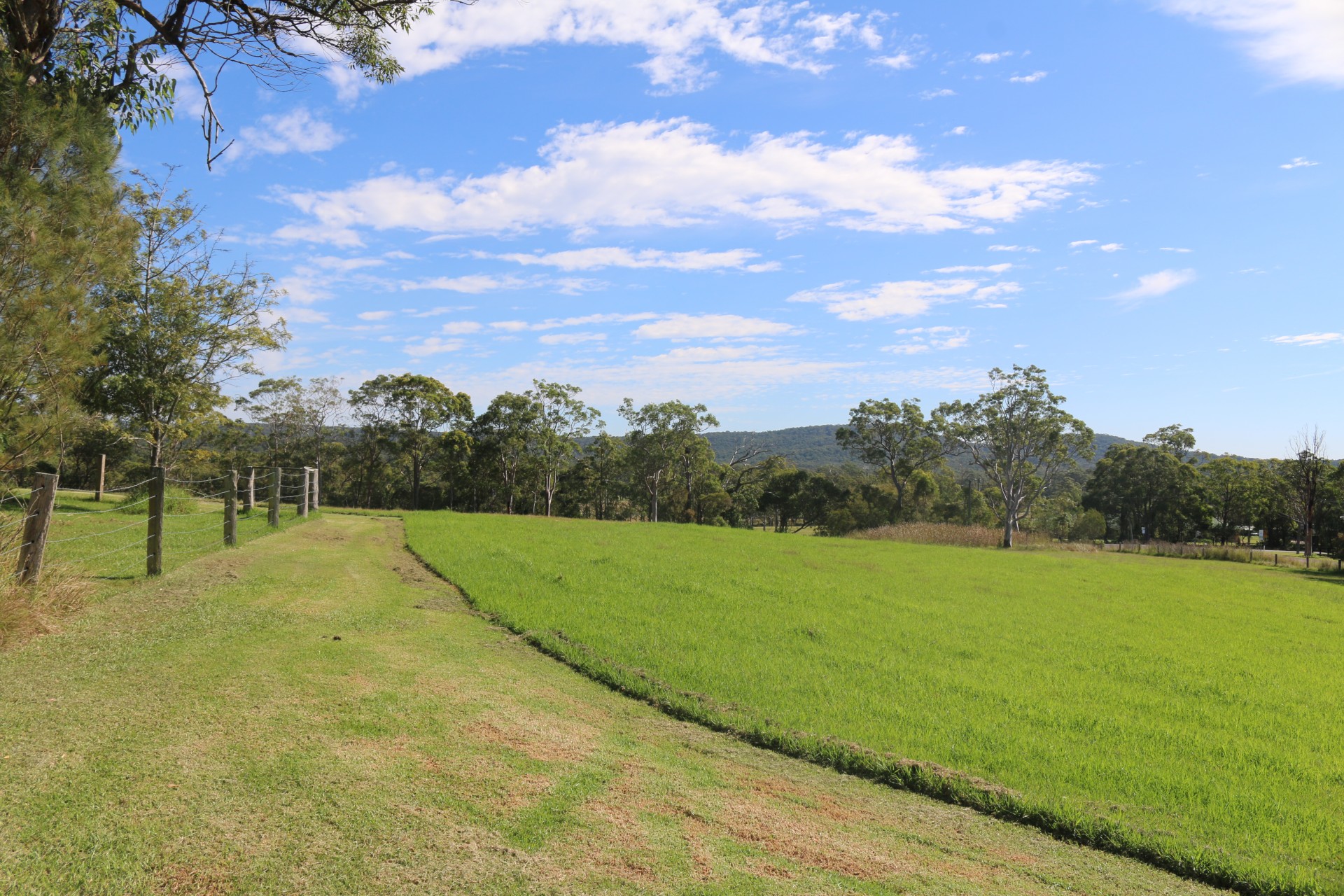 49 Wyee Farms Road, Wyee > Capital One Real Estate