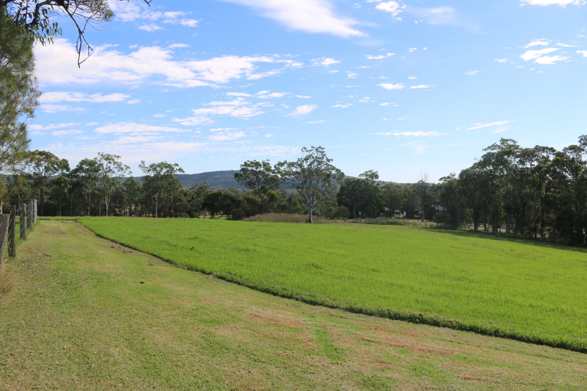 49 Wyee Farms Road, Wyee > Capital One Real Estate