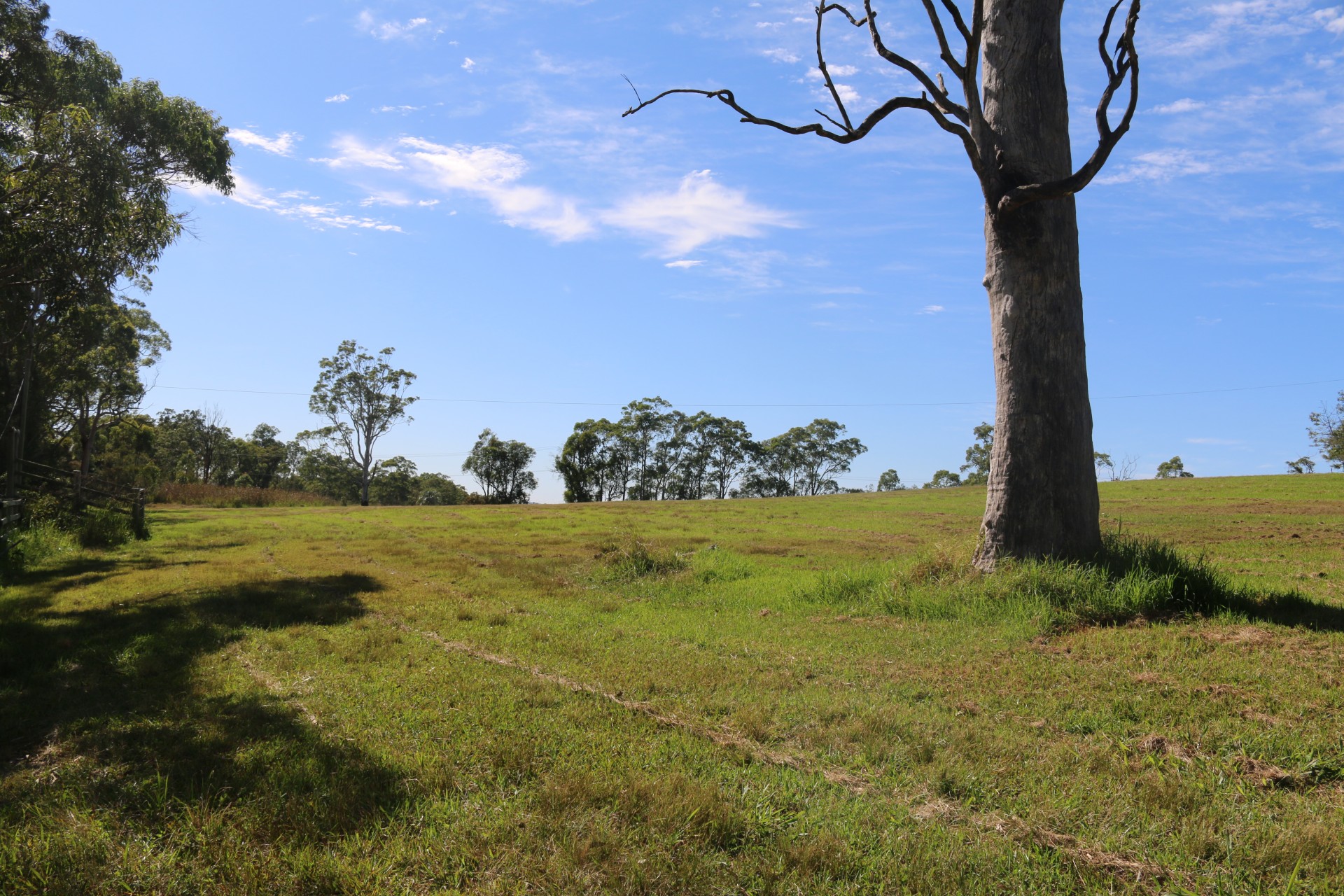 Selling your property in Wyee