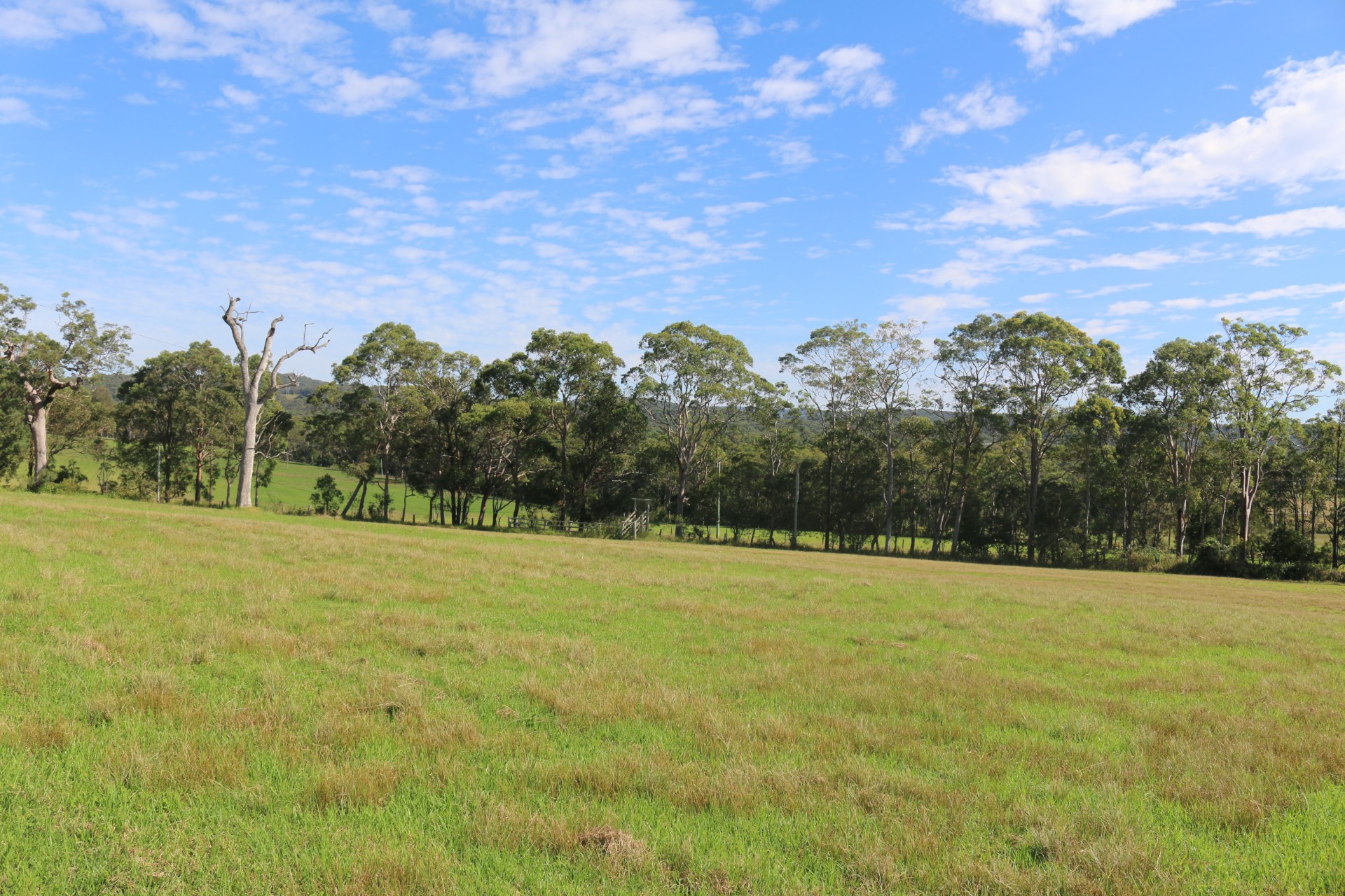 49 Wyee Farms Road, Wyee > Capital One Real Estate