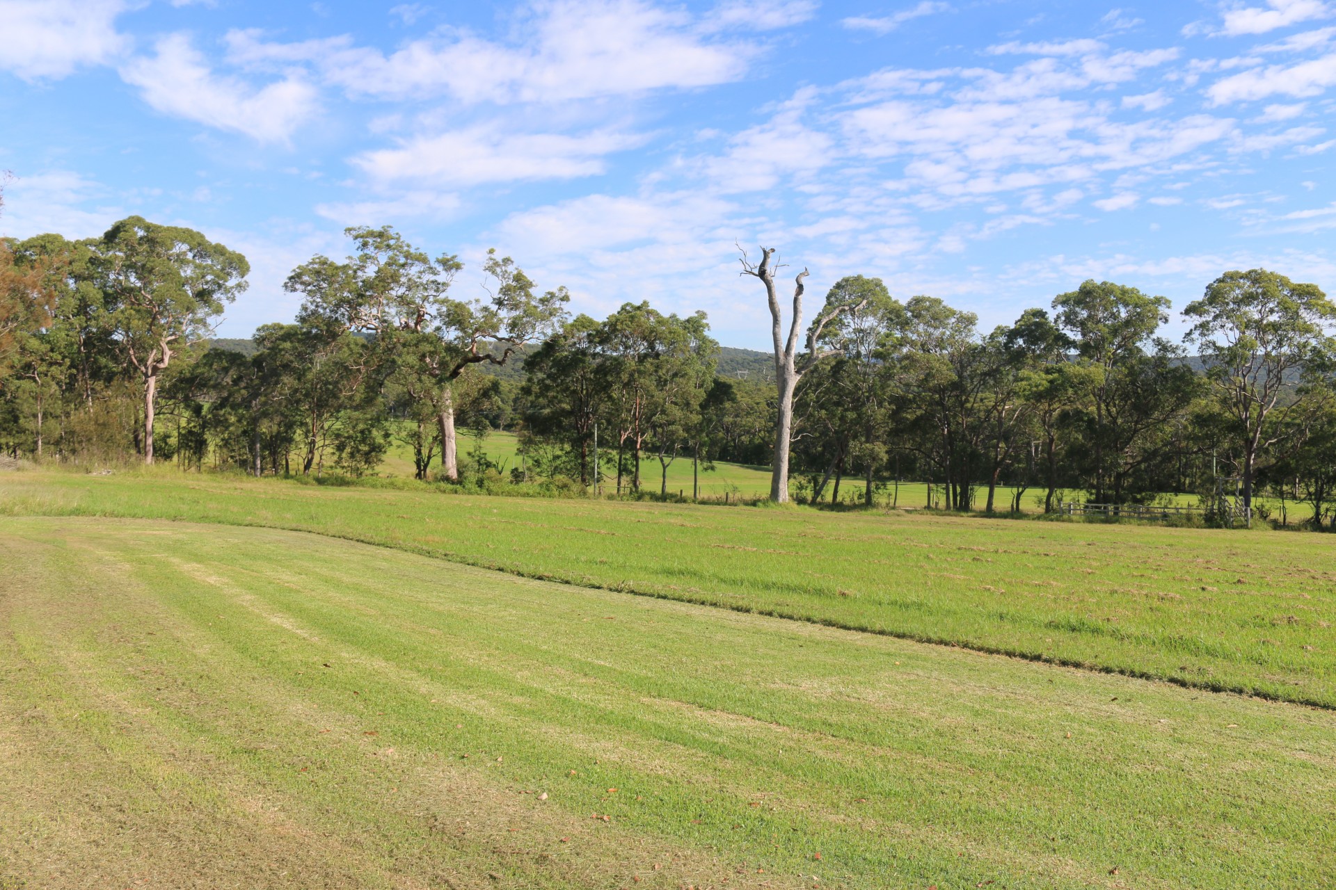 49 Wyee Farms Road, Wyee > Capital One Real Estate