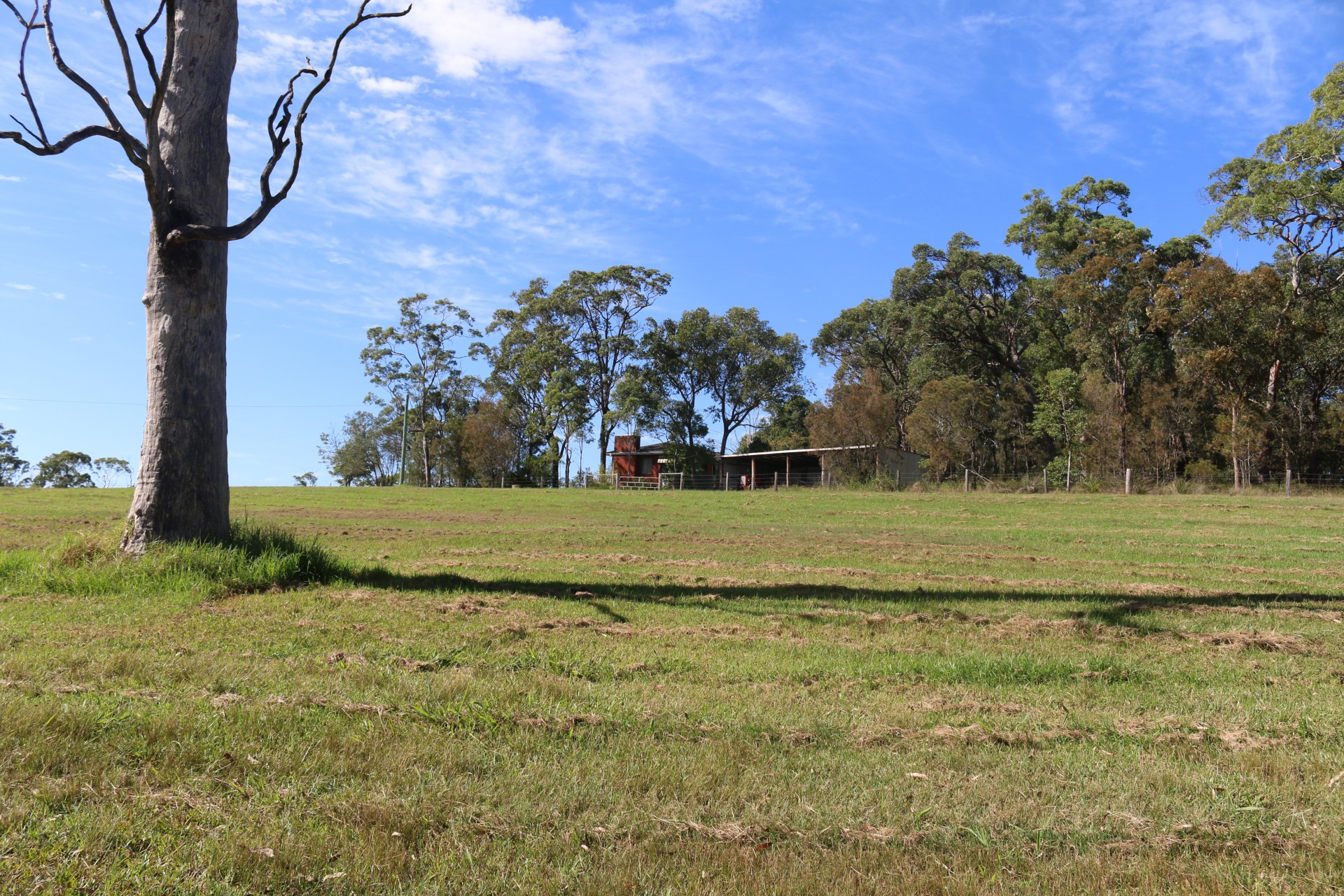 49 Wyee Farms Road, Wyee > Capital One Real Estate