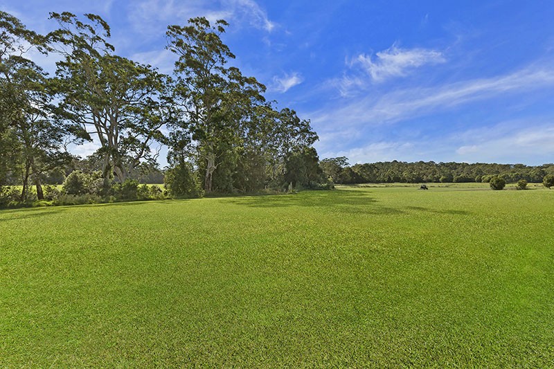Real Estate in Wyong Creek
