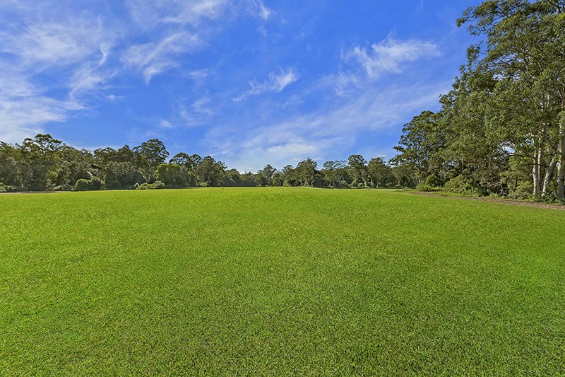 Real Estate in Wyong Creek