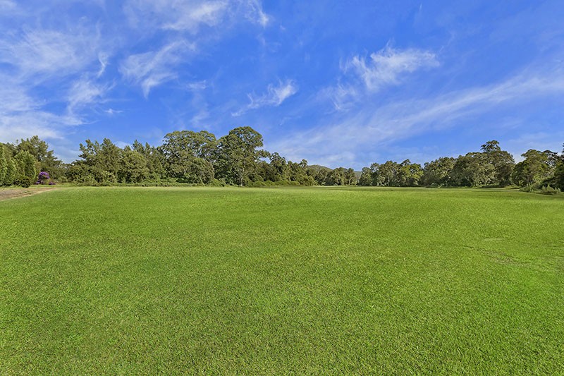 Real Estate in Wyong Creek