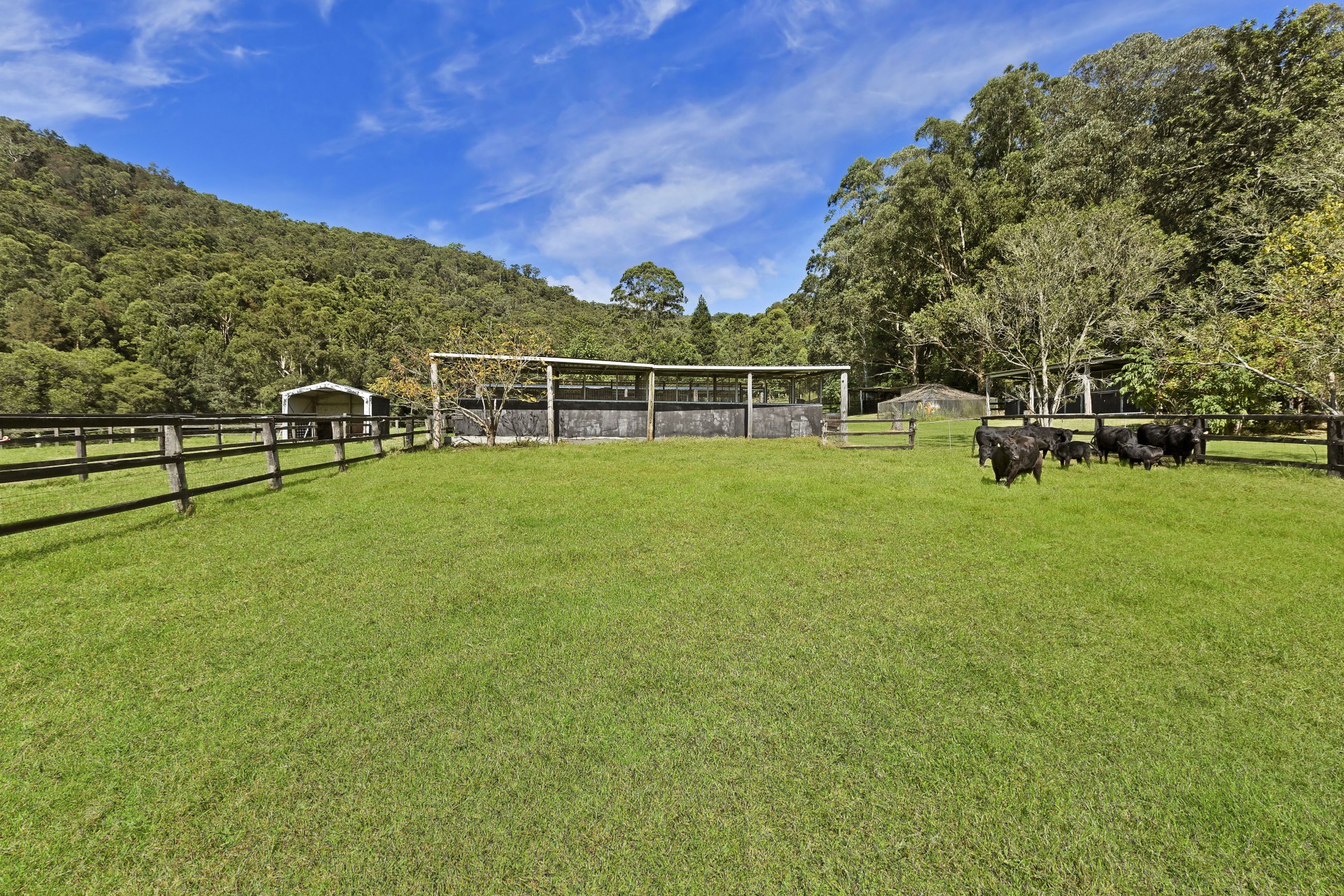 Real Estate in Yarramalong