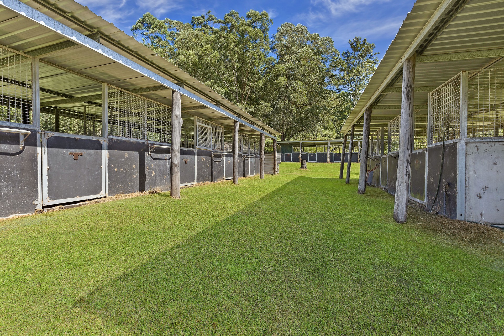 Real Estate in Yarramalong