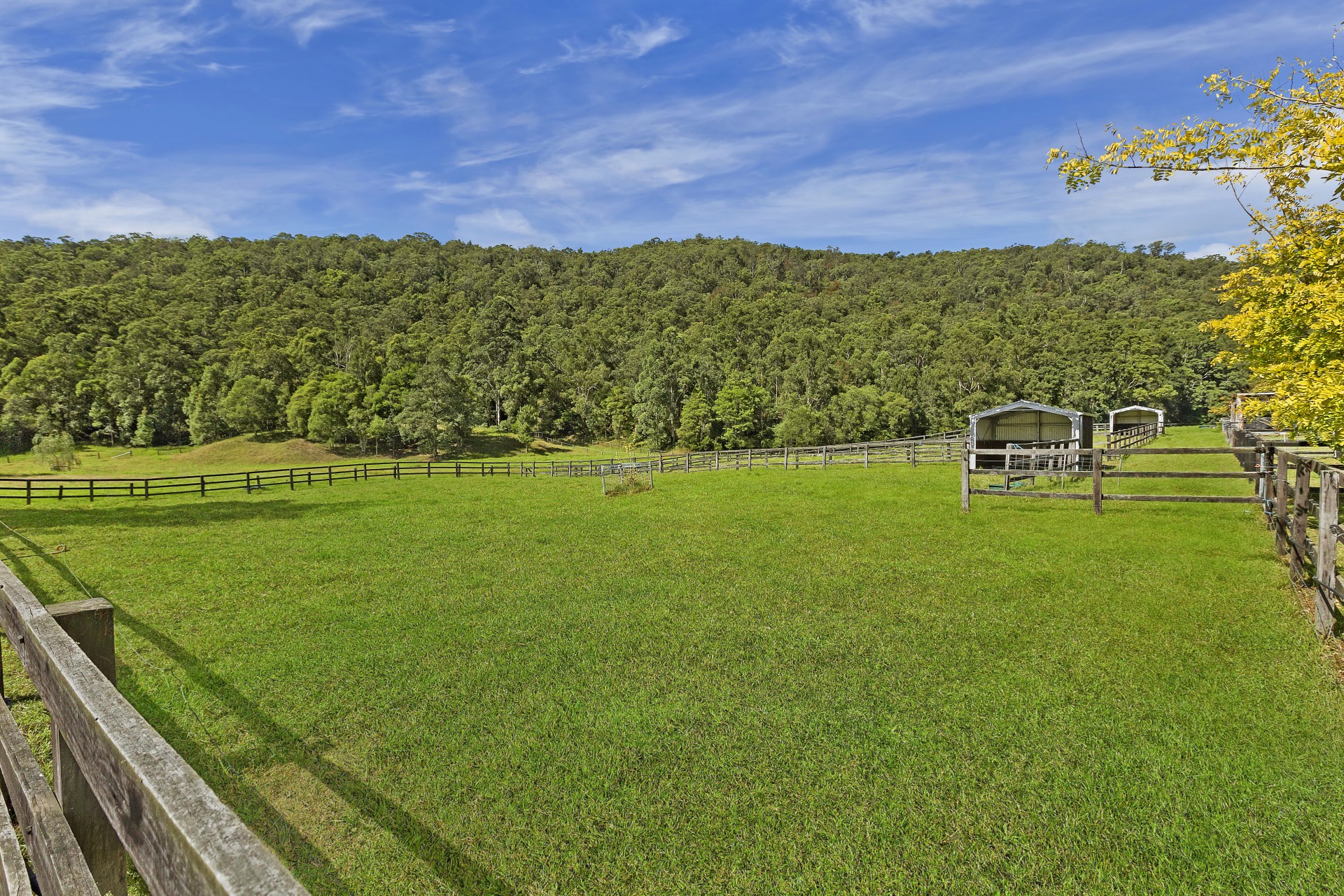 Property Sold in Yarramalong